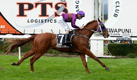 Lincoln Hills strides to the line well clear of his rivals at Awapuni on Saturday. PHOTO: Peter Rubery/Race Images.