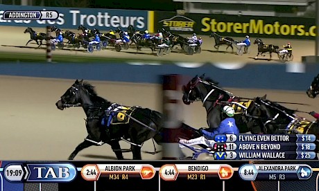 NZ Metro 17 May 2019 Race 5