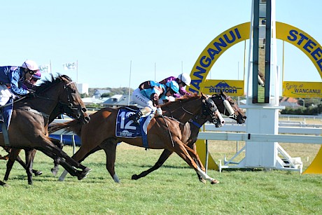 Johnny Lincoln winning his sole race, at Wanganui, in February, 2106. PHOTO: Peter Rubery/Race Images.