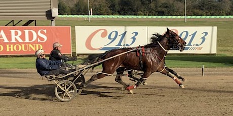 Lets Strike The Gold stretching out with Lincoln Farms’ stablemate Make Way, obscured, at Menangle.