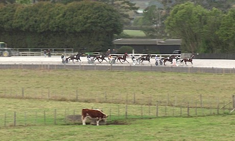 Auckland 18 May 2019 Race 6