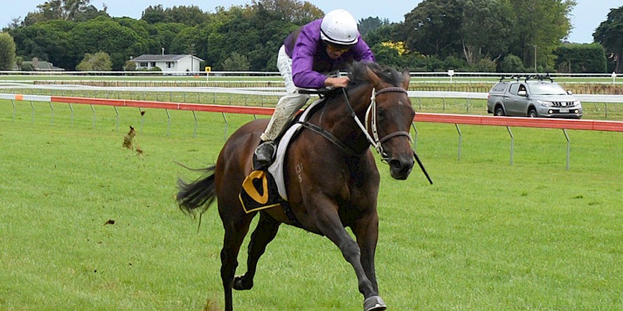 Platinum Rapper … her powerful finishing burst last time at Trentham augurs well for Saturday.
