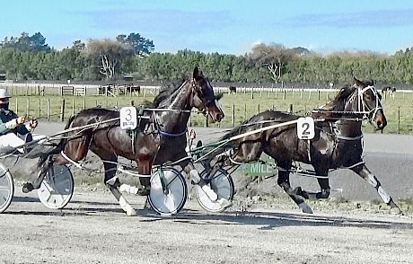 Man Of Action shading Double Or Nothing midway through their workout today.