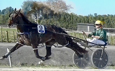 Long striding Perfect Stride getting into his work during today’s Pukekohe workout.