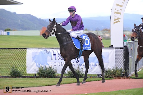 Johnathan Parkes brings Platinum Rapper back to scale at Trentham on Saturday. PHOTO: Race Images.