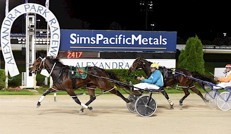 Tommy Lincoln has hot favourite Infatuation well covered at the finish on Friday night. PHOTO: Joel Gillan/Race Images.