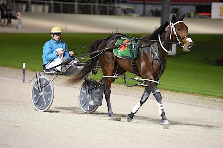 David Butcher brings Tommy Lincoln back to scale. PHOTO: Joel Gillan/Race Images.