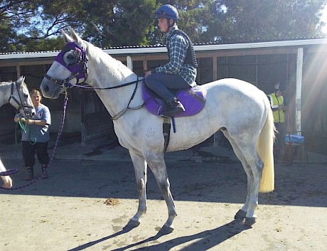 Dependable Man finally gets to the races after a rocky start to his career.