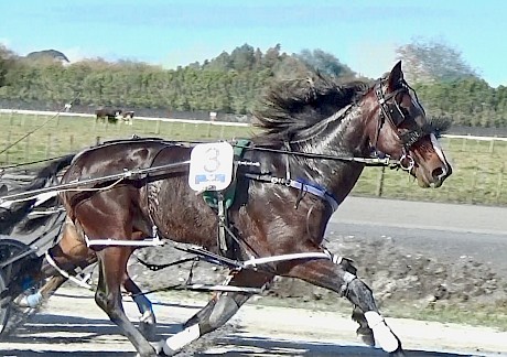 Double Or Nothing scores in his Pukekohe workout last Saturday.
