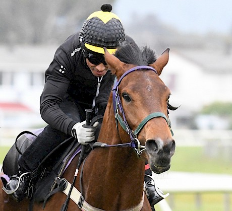 Master Lincoln looks well placed in the opening race. PHOTO: Royden Williams.