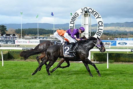 Lincoln’s Command is too strong for Our Legacy at Awapuni today. PHOTO: Peter Rubery/Race Images.