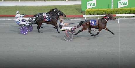 Lincoln’s Girl runs to the line strongly to beat Timeless Appeal and Mister Diamond at Albion Park tonight.