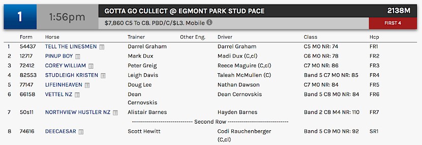 Northview Hustler races at 3.56pm NZ time on Tuesday.