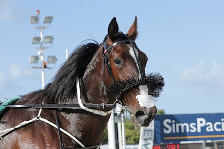 Double Or Nothing ran the second fastest last mile last week.