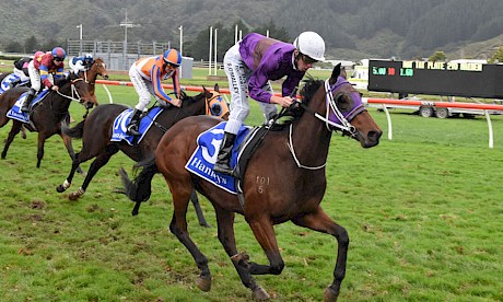 Platinum Spirit is right on the outside fence as he races past Rhapsody In Blue at Trentham. PHOTO: Peter Rubery/Race Images.