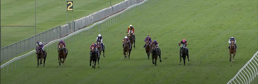 Platinum Spirit , extreme left with plenty of room, sails home to score at Trentham.