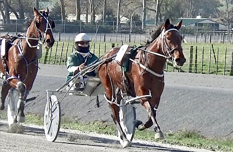 Lindi Lincoln … greenness cost her a debut win at Cambridge.