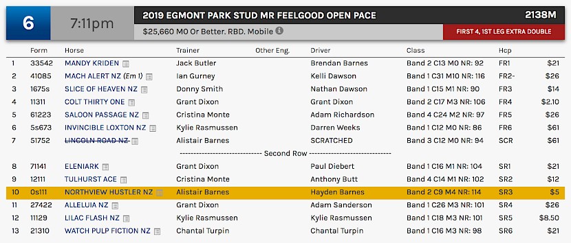 Northview Hustler races at 9.11pm NZ time at Albion Park on Saturday night.