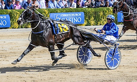 Bettor My Dreamz clears out for an easy win on cup day at Addington. PHOTO: Race Images.