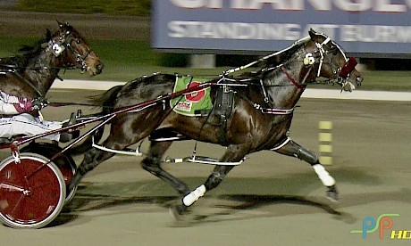 Make Way and driver Anthony Butt have tonight’s Redcliffe Derby safely in hand as they race past the hot favourite Dazzle Me.