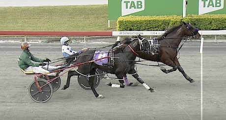 Trojan Banner finishes right alongside free-for-aller Mattgregor in today’s trial at Albion Park.