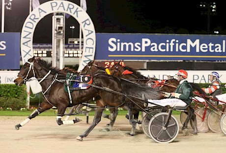 The Empress … showed her toughness sitting parked most of the way in this win. PHOTO: Joel Gillan/Race Images.