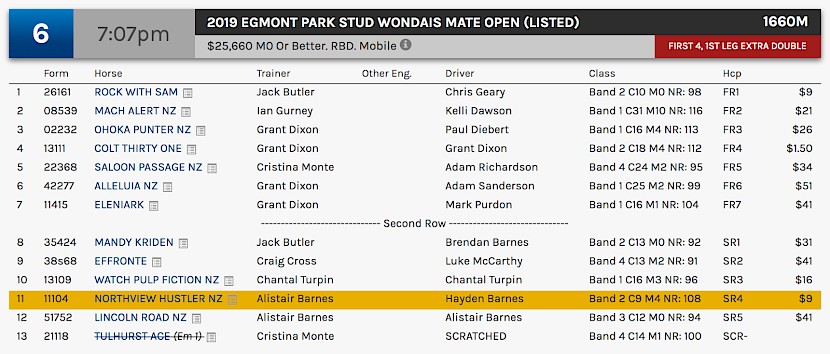 Northview Hustler races at 9.07pm NZ time at Albion Park on Saturday.