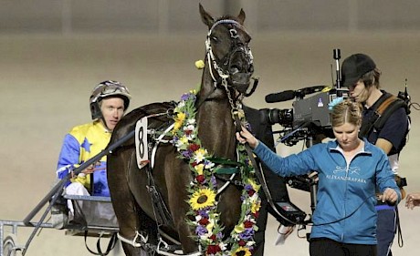 I’m Themightyquinn … champion pacer who clocked a closing 54.4 when setting his Albion Park record.