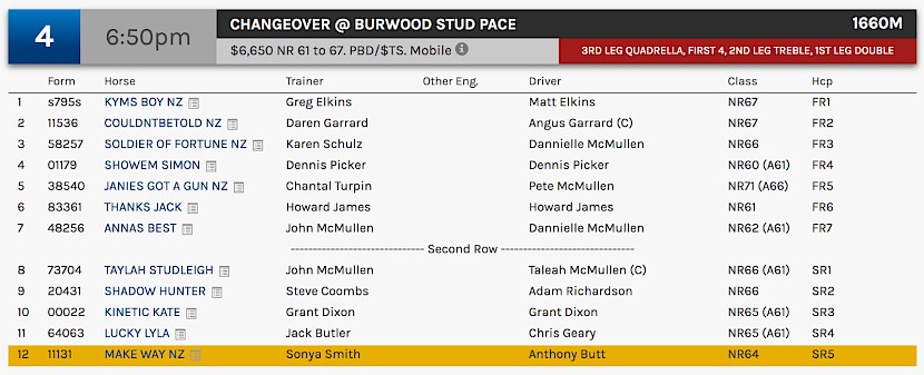 Make Way races at 8.50pm NZ time at Albion Park on Friday.