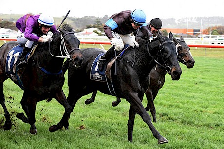 Platinum Rapper, widest, just goes down to Dolcetto and Rosewood in the Challenge Stakes at Wanganui. PHOTO: Peter Rubery/Race Images.