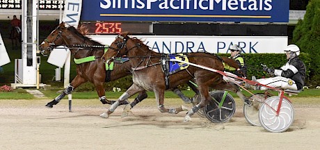 Take No Prisoners has a neck on Michelle at the finish on Friday night. PHOTO: Joel Gillan/Race Images.