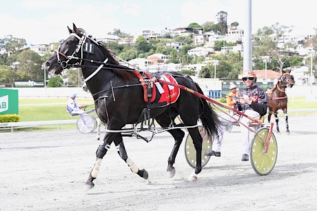 Trojan Banner has to overcome a bad draw in the South East Derby. PHOTO: Dan Costello.