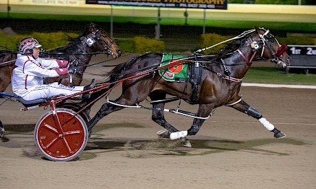 Make Way, pictured winning the Redcliffe Derby, is perfectly primed for Saturday’s South East Derby. PHOTO: Michael McInally.