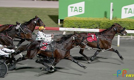 Northview Hustler (10) is right in the fight behind Ohoka Punter, Colt Thirty One and Watch Pulp Fiction in the Sunshine Sprint.