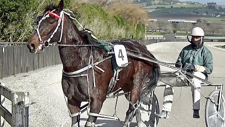 A frustrated Zachary Butcher brings Bettor My Dreamz back after he was flattened by a galloper in his workout on Saturday.