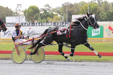 Trojan Banner is drawn to follow Make Way in the Queensland Derby. PHOTO: Dan Costello.