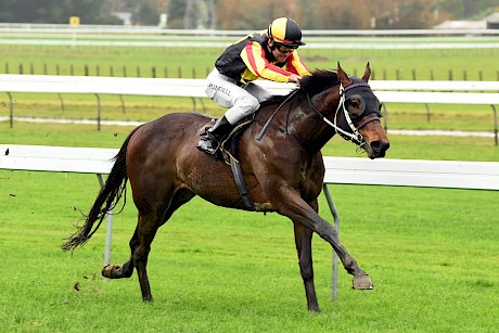 Manhattan Street revelling in the mud as a two-year-old, winning the Ryder Stakes.