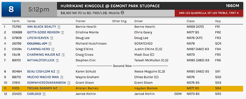 Trojan Banner races at 7.12pm NZ time on Tuesday evening at Albion Park.