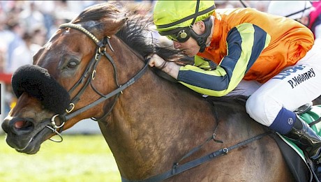 Talented Melbourne jockey Patrick Moloney rides Pratt Street.