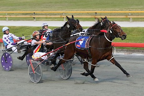 Lincoln’s Girl (Hayden Barnes) clocking 1:53.3 at Albion Park in May. PHOTO: Dan Costello.