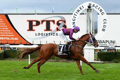 Lincoln Hills … progressive galloper who has thrived since his unlucky last start fifth at Hastings. PHOTO: Peter Rubery/Race Images.