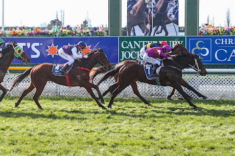 Platinum Rapper bursts through the gap to beat Look Out and Owen Patrick. PHOTO: Race Images.