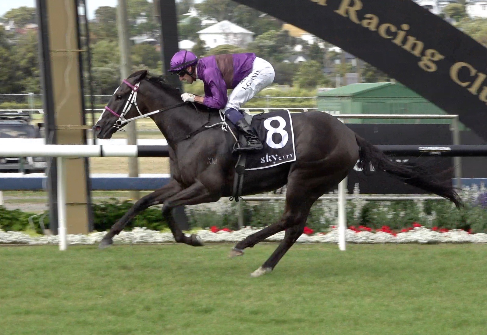 Platinum Invador cruises home in the City Of Auckland Cup at Ellerslie.