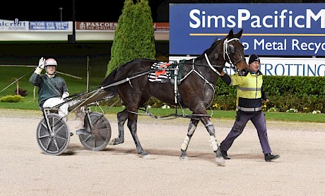 The Empress … two wins and two seconds from four starts in Auckland. PHOTO: Joel Gillan/Race Images.