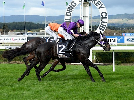 Lincoln’s Command winning his last start in New Zealand at Awapuni on May 30. PHOTO: Peter Rubery/Race Images.