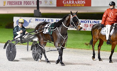 Bettor My Dreamz comes back to scale. PHOTO: Race Images.