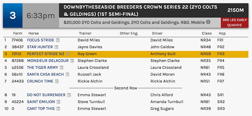 Perfect Stride races at 8.33pm NZ time at Bendigo on Saturday night.