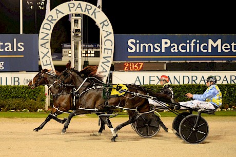 Zeuss Bromac, pictured beating Perfect Stride at Auckland, has drawn the second row in a tough semi on Saturday night. PHOTO: Joel Gillan/Race Images.