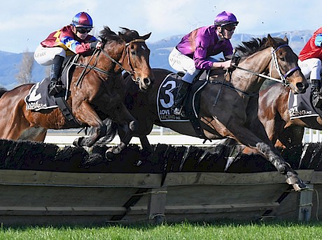 Manhattan Street shows his jumping style when third at Awapuni. PHOTO: Race Images.