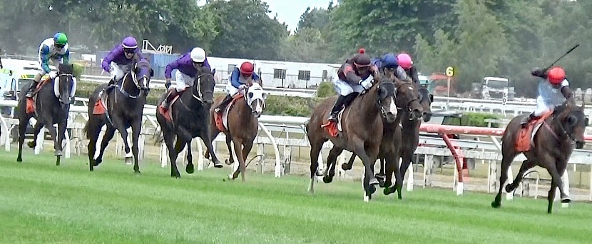 Lincoln Sky (white cap) inside stablemate Lincoln Falls runs on strongly in the Waikato Guineas behind Sponge Bob, Arrogant, Sword In Stone and The Chosen One.